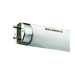 T8 25mm Diameter Triphosphor Fluorescent Tubes