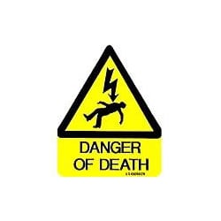 QLU LS1008029 yellow triangle 80x100mm Danger Of Death